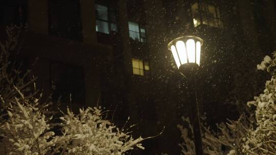 小区下雪夜景唯美飘雪