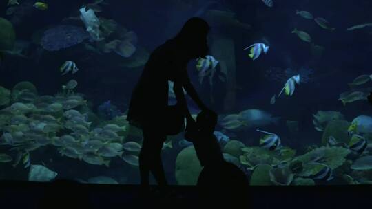 在水族馆拍照视频素材模板下载