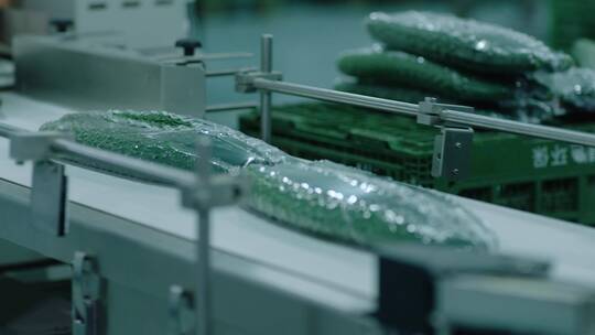 4K食品蔬菜加工水果工厂黄瓜流水线工作视频素材模板下载