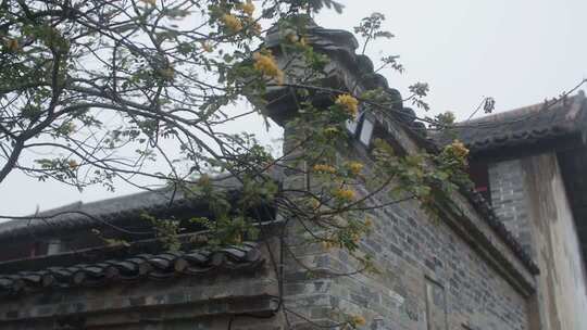 穿行在古镇小巷里古村院落古巷特写