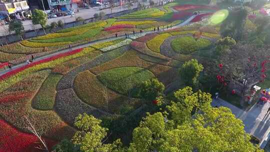 城市的花海游人