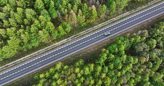 森林里的公路