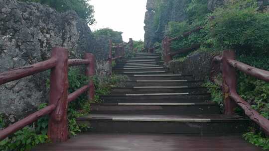 城市旅游风光风景视频素材模板下载