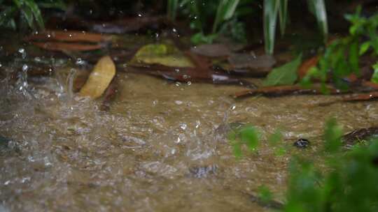 雨滴落入水坑荡起涟漪