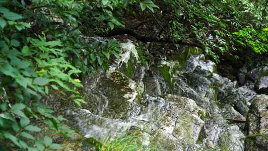 森林流水大自然小溪水瀑布山涧水源泉水山水视频素材模板下载