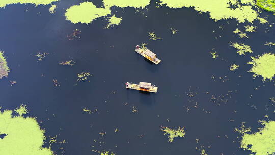 湿地湖泊中的游船