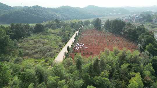 衡东风景枫仙岭景区航拍