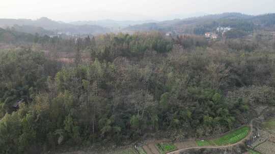 航拍乡村田野自然风光