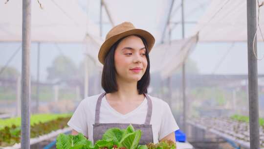 美丽的农家女孩在水培温室农场提着一盒蔬菜