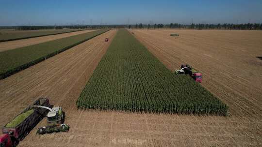 4k航拍 农业种植 收割农田车尾视角视频素材模板下载
