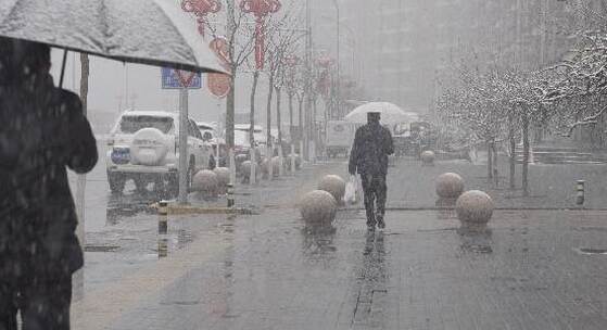 鹅毛大雪街道上的行人打着伞