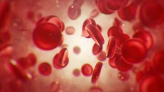高清人体血液 红细胞视频素材