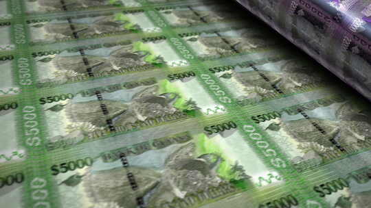 圭亚那元钞票印刷无缝循环视频素材模板下载