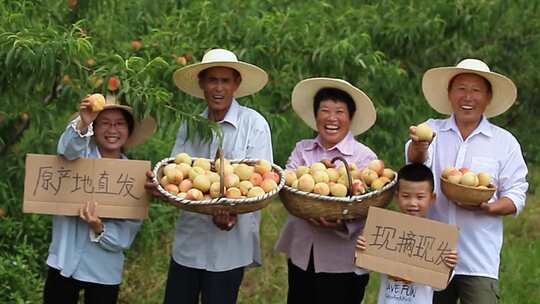 果园直播水蜜桃产地