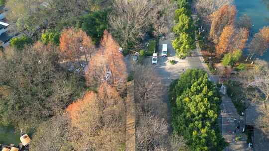 杭州市西湖区西溪湿地美景风景视频素材