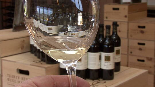酒杯中的白葡萄酒视频素材模板下载