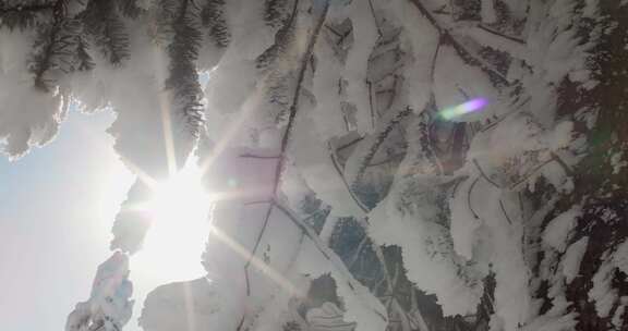 高清实拍瓦屋山冬天雪景雪山森林