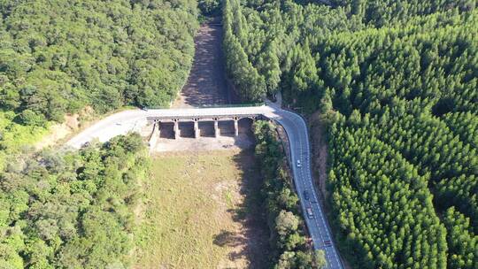 森林公路航拍树林道路汽车行驶航拍山区山路