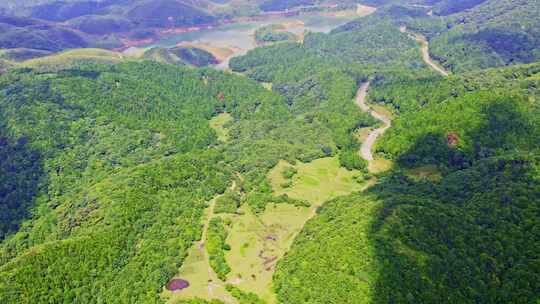 航拍森林树木青山山脉自然风景