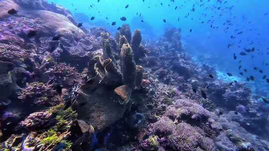 海洋世界、海底潜水