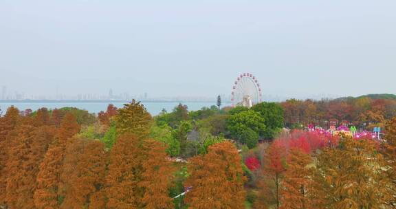 湖北武汉东湖风景区秋季风光