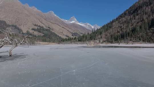 航拍冬天的四姑娘山双桥沟风景