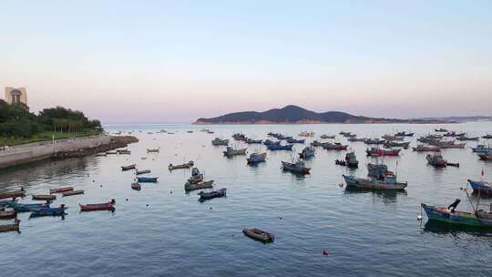 威海海上众多渔船赶海停泊画面