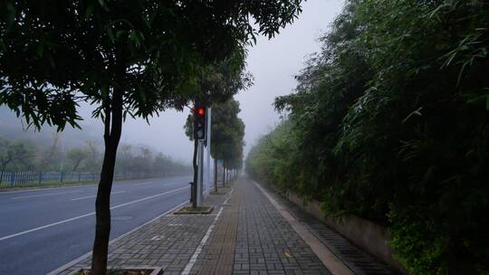 城市大雾天气