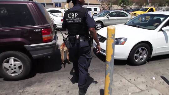 警犬部队在圣伊西德罗边境巡逻视频素材模板下载