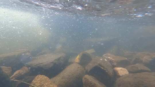 水下拍摄 河流 溪流 溪水