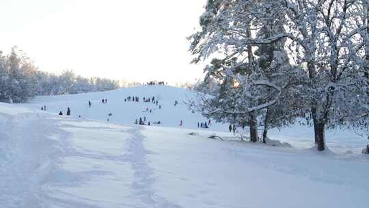 雪日落度假人