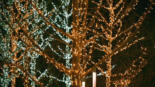 抽象节日霓虹灯圣诞树散焦灯光夜晚背景视频素材模板下载