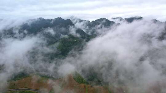 大雾清晨云雾大山云海森林自然云山脉山区