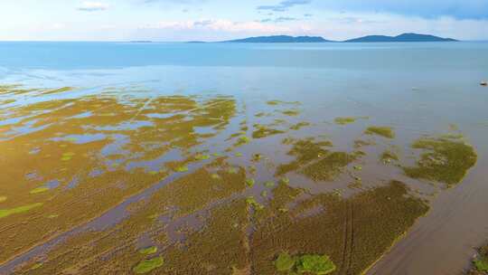 兴城生态湿地空镜航拍