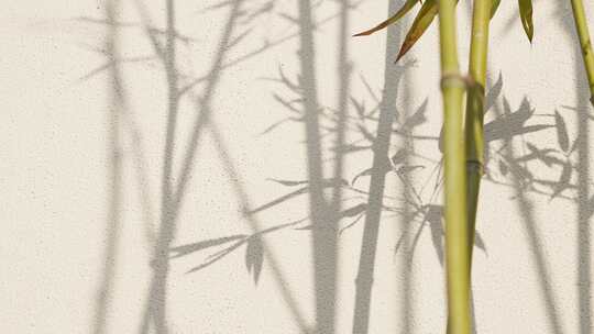 竹子和影子传统中国山水画意境
