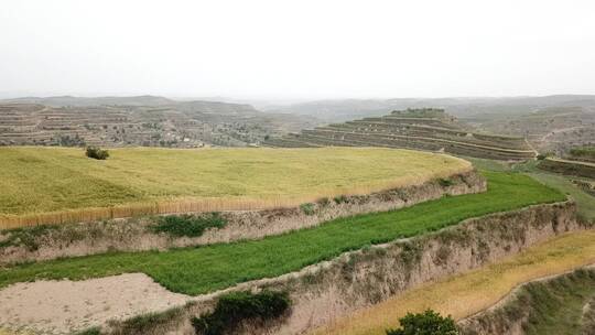 黄土高原地貌