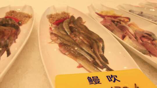 【合集】鲜活海鲜盛宴 高档海鲜 海鲜制作
