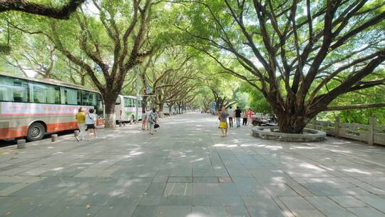 广西桂林景区旅行团游客