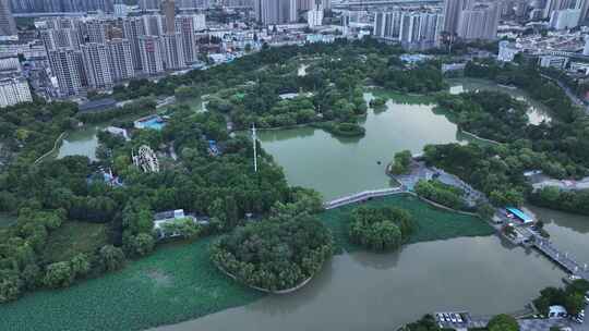 绿意葱葱的钵池山公园夏季江南园林风景