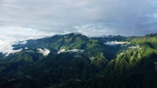 雨雾缭绕、光影斑驳的高黎贡山