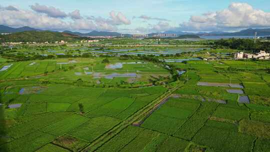 高架桥下的乡村田野风景