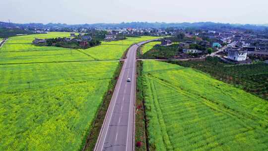 汽车行驶在美丽的乡村公路上