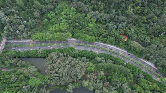 林间公路车流航拍