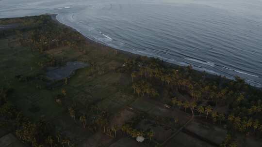 海上空中棕榈树