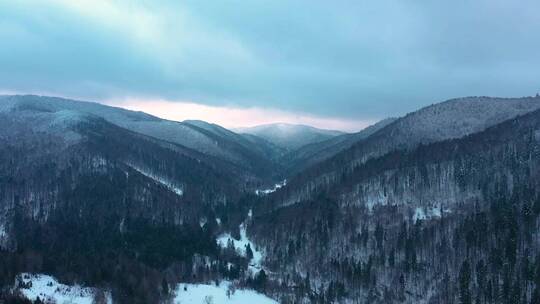 从空中俯瞰冬季森林覆盖的山区景观