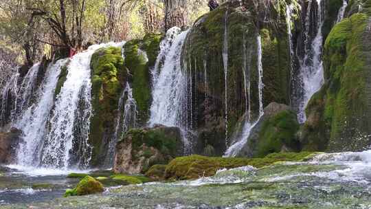 九寨沟箭竹海瀑布水中青苔流水岩石秋天水景