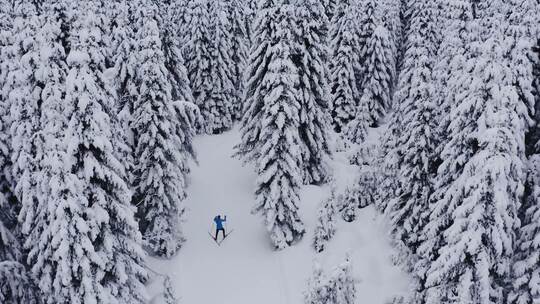 滑雪者，雪，山脉，森林