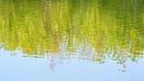 春天湖面绿色树林倒影反射与水波纹高清在线视频素材下载