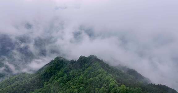 广西山区竹林竹海竹山云海翻滚航拍