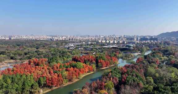 中国杭州西溪湿地秋日美景航拍